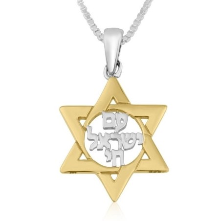 תליון שרשרת מגן דוד עם ישראל חי מצופה זהב